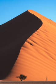 Namibia Sossusvlei Dune 45/12805798