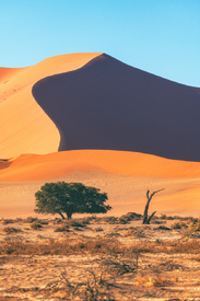 Namibia Sossusvlei Düne/12805804