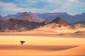 Namibia Damaraland Wüste/12811074