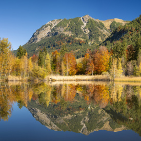 Herbst in Oberstdorf/12813330