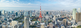 Tokyo Skyline Panorama/12813401