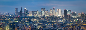 Tokyo Skyline Panorama bei Nacht/12813405