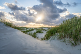 Sonnenlicht über den Dünen/12813918