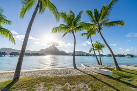 Am Strand auf Bora Bora/12817454