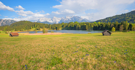 Enzianwiese am Geroldsee II/12817576