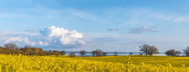 Frühling in Schleswig Holstein/12818176