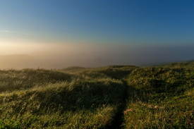 Morgenstimmung in den Dünen Dänemarks/12818816