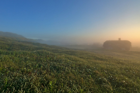 Nebel hinter den Dünen in Dänemark/12818817