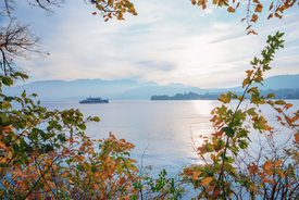 Schiff am Traunsee Herbstlandschaft/12819083