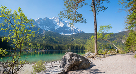 Frühling am Eibsee/12819163