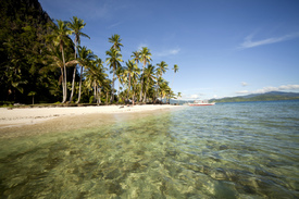 Traumstrand auf den Philippinen/10451084