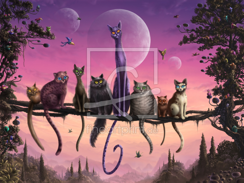 Cats in heaven als leinwand von oceanplanet erhältlich bei fine ar...
