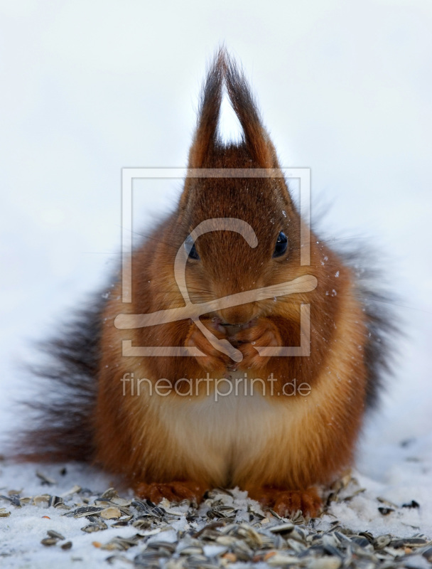 frei wählbarer Bildausschnitt für Ihr Bild auf Glas-Schneidebrett