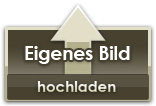 Bild hochladen und als Fine Art Kissen bestellen