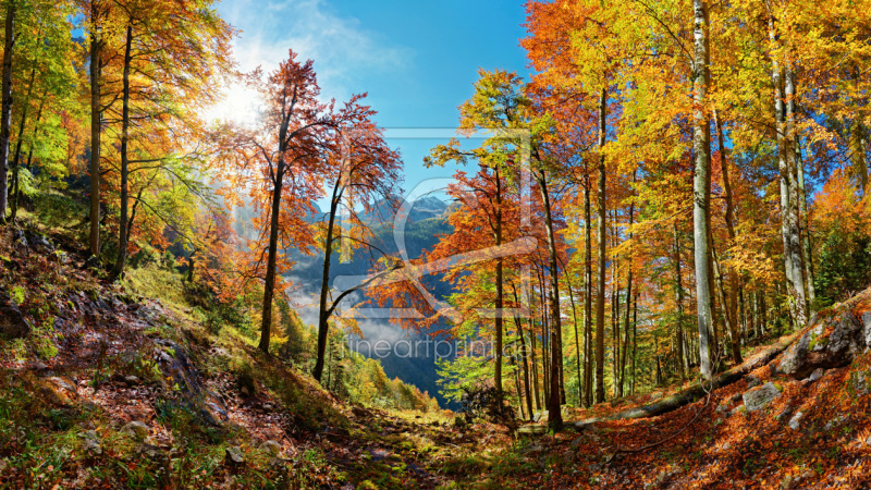 frei wählbarer Bildausschnitt für Ihr Bild auf Leinwand