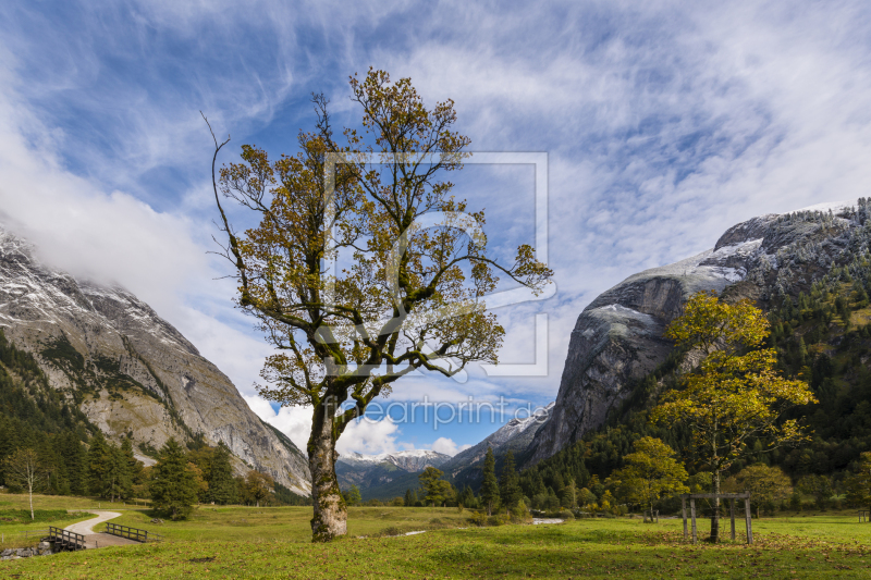 frei wählbarer Bildausschnitt für Ihr Bild auf Leinwand