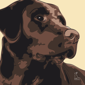 Bild-Nr: 9230329 Labrador Retriever braun [Pfotenstore] Erstellt von: lixxconsult