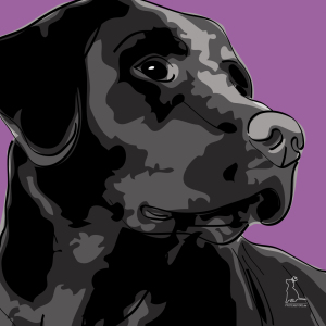 Bild-Nr: 9233781 Labrador Retriever schwarz [Pfotenstore] Erstellt von: lixxconsult