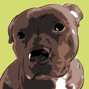 Bild-Nr: 9239509 American Staffordshire Terrier [Pfotenstore] Erstellt von: lixxconsult