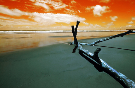Bild-Nr: 9315576 Playa Coyote Sandstrand Erstellt von: Gerhard Fechtig