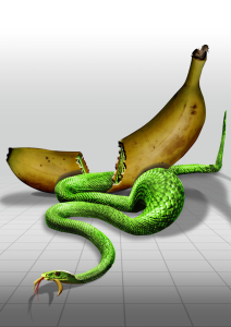 Bild-Nr: 9423342 Mamba Eats Banana Erstellt von: PeterHolland