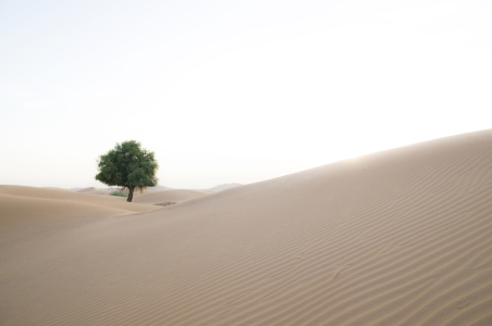 Bild-Nr: 9467608 Wüste Erstellt von: danielschoenen