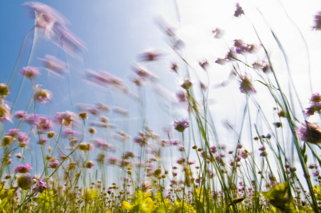 Bild-Nr: 9548488 Wind Erstellt von: danielschoenen