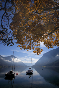 Bild-Nr: 9823576 Herbst überm See Erstellt von: Thomas Herzog