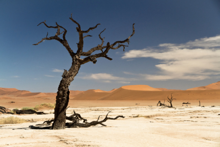 Bild-Nr: 9896354 Die Wüste Namib II Erstellt von: Gerlinde Klust