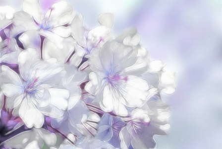 Bild-Nr: 10013455 Frühlingsblüte Erstellt von: Atteloi