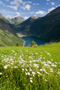 Bild-Nr: 10048759 Geiranger Fjord II Erstellt von: Stefan Rieger