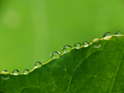 Bild-Nr: 10123502 Wassertropfen Erstellt von: gabii40