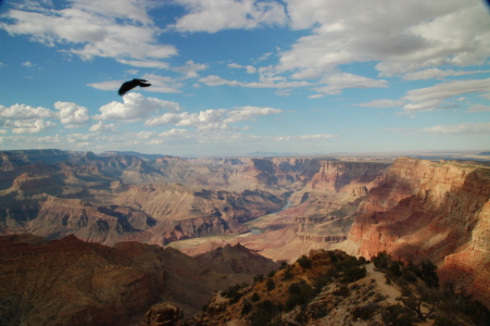 Bild-Nr: 10189249 Über dem Grand Canyon Erstellt von: siebenfarbenfroh