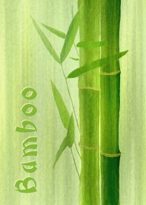 Bild-Nr: 10282435 Bamboo Erstellt von: gabii40