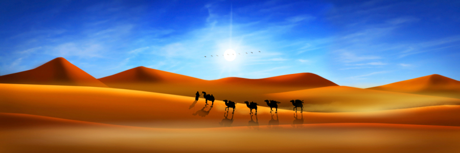 Bild-Nr: 10375995 Die Wüsten-Karawane in Panorama Erstellt von: Mausopardia