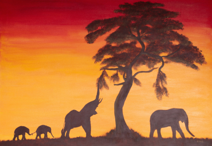 Bild-Nr: 10391107 Sonnenuntergang in Afrika Erstellt von: Petra Koob