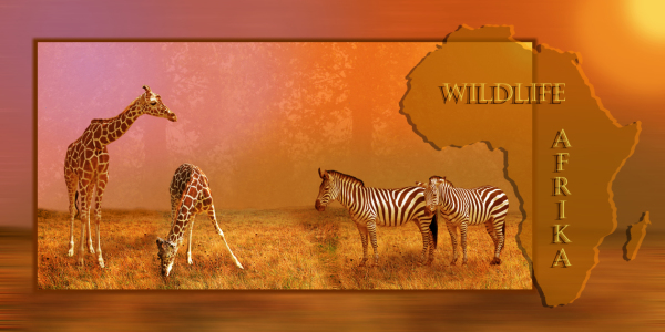 Bild-Nr: 10400449 Wildlife Afrika Collage Erstellt von: Mausopardia