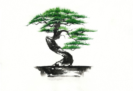 Bild-Nr: 10412895 Bonsai Erstellt von: JitkaKrause