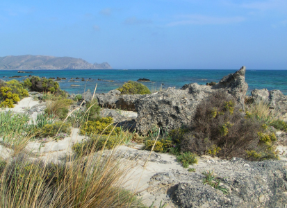 Bild-Nr: 10448008 Elefonisi Dünen - Kreta Erstellt von: Holgi73
