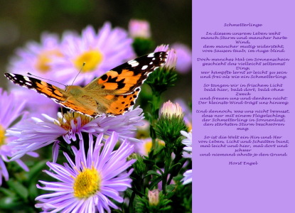 Bild-Nr: 10515849 Schmetterlings Poesie Erstellt von: Renate Knapp