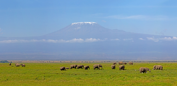 Bild-Nr: 10599068 Kilimanjaro Panorama Erstellt von: Safarifotografie