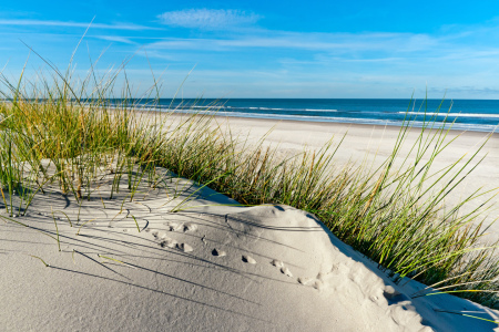 Bild-Nr: 10618256 Nordsee - Langeoog Erstellt von: Reiner Würz