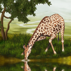 Bild-Nr: 10695397 Giraffe am Wasser Erstellt von: Maike Straßburg