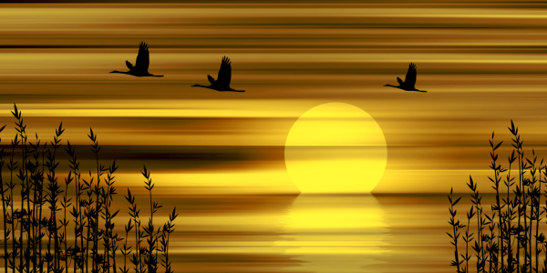 Bild-Nr: 10708113 Sonnenuntergang Erstellt von: Atteloi