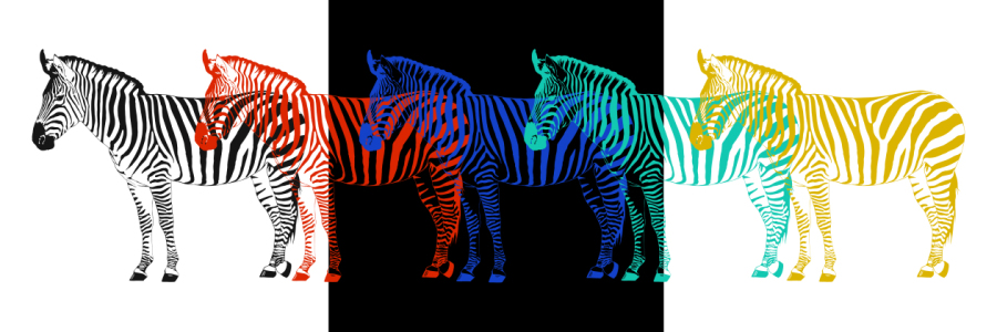 Bild-Nr: 10753687 Zebra POP-ART Parade Erstellt von: Mausopardia