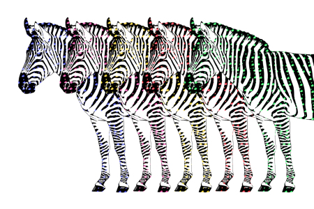 Bild-Nr: 10772185 Nicht nur Zweibeiner tragen Pyjama, aus der Zebra-Serie Erstellt von: Mausopardia