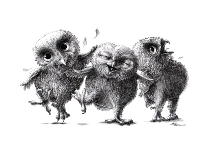 Bild-Nr: 10789967 Drei verrückte Eulen - Three Crazy Owls Erstellt von: StefanKahlhammer