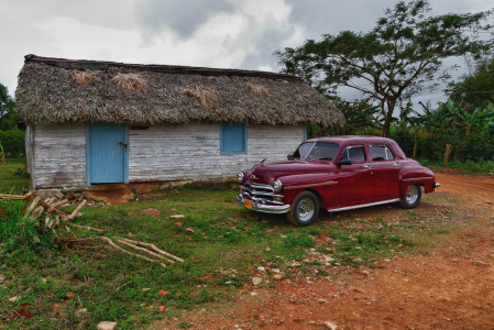 Bild-Nr: 10835593 Cuba Cars  Erstellt von: Gerlinde Klust