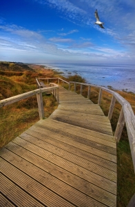 Bild-Nr: 10843293 Wege auf Sylt - Morsum Erstellt von: Ina  Penning