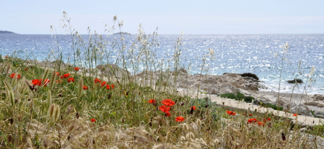 Bild-Nr: 10902618 träumen am Meer Erstellt von: GUGIGEI